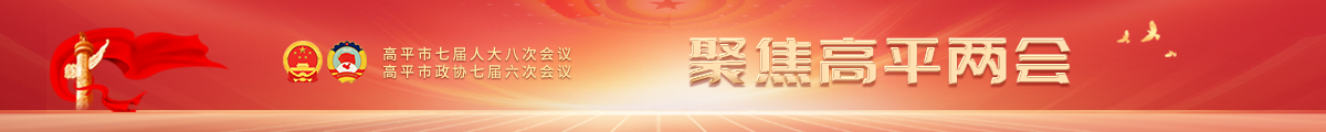 高平两会