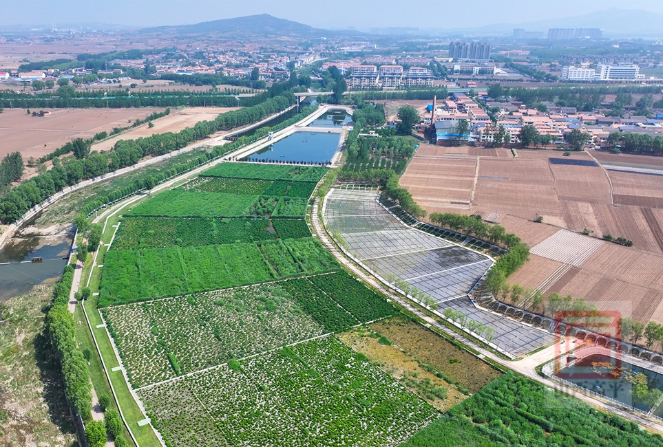 我市丹河下庄段水质净化改造与提升工程进入试运行阶段