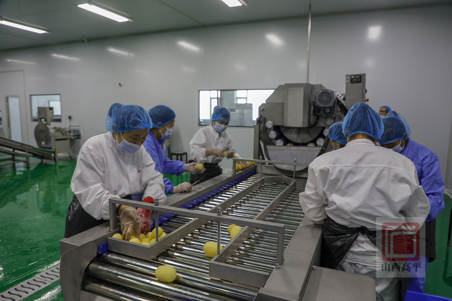 我市台湾产业园净菜加工项目投入试生产