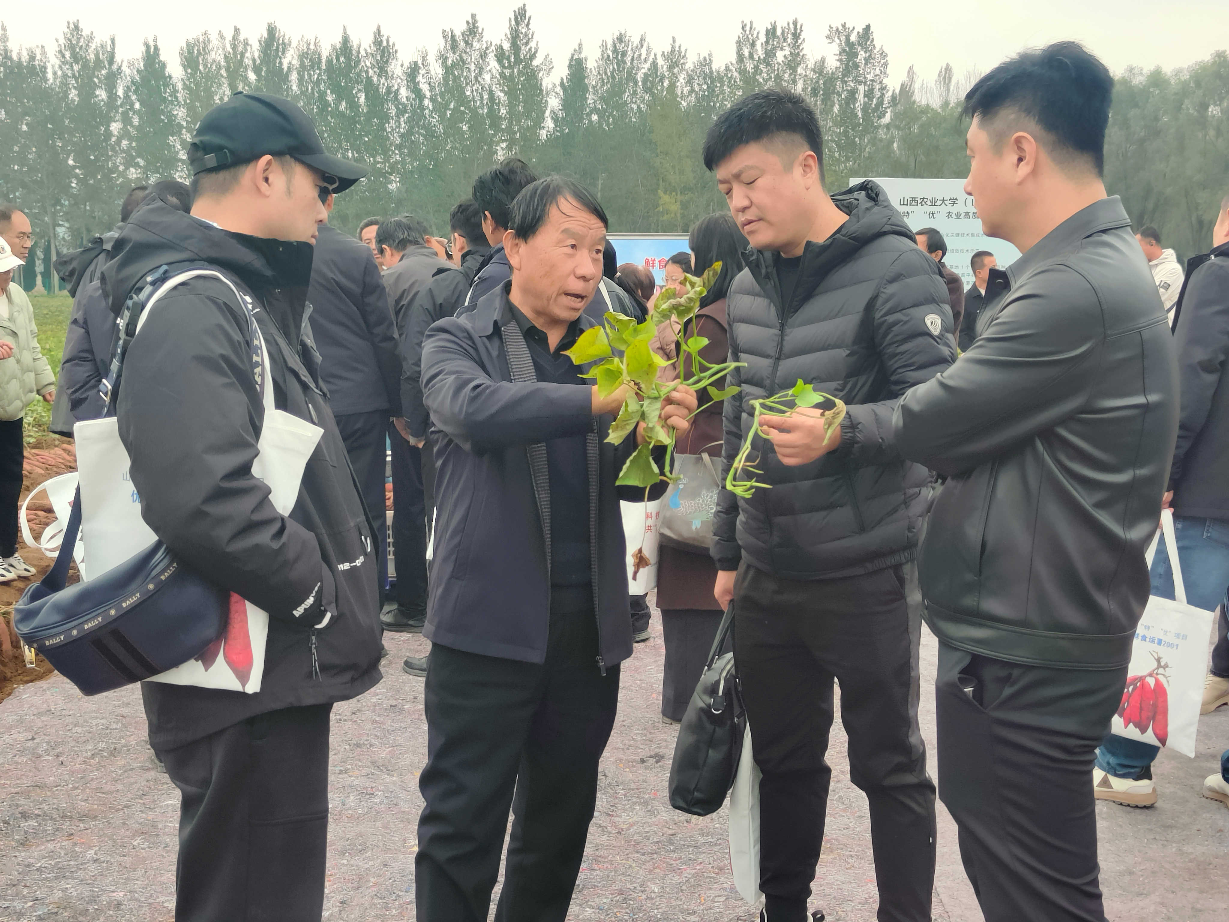 微信图片_20251024172439_150_673.jpg