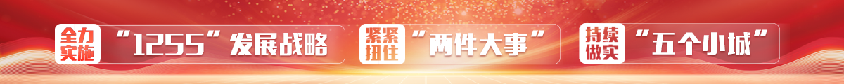全力实施“1255”发展战略，紧紧扭住“两件大事”，持续做实“五个小城”