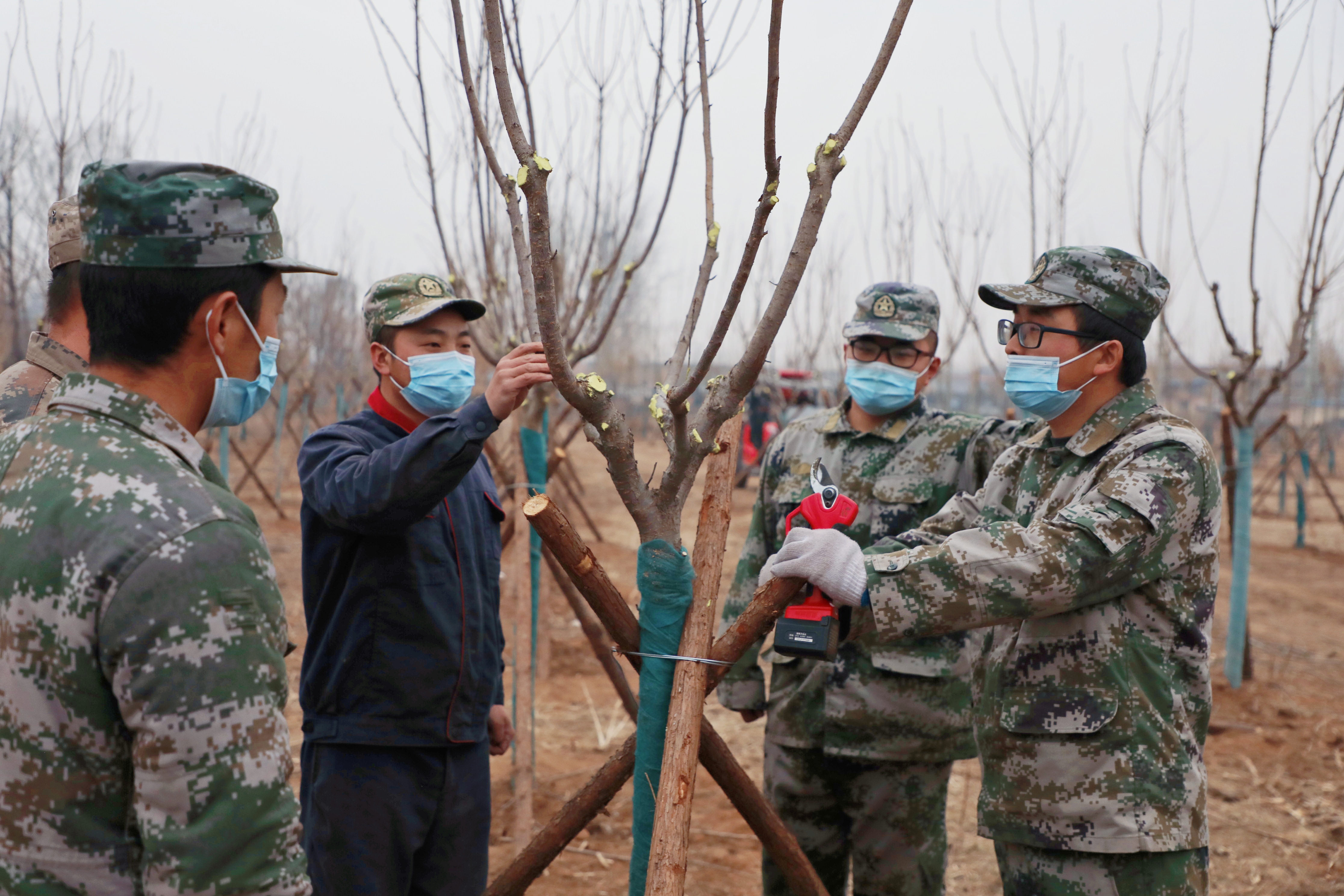 全国森林管护服装图片