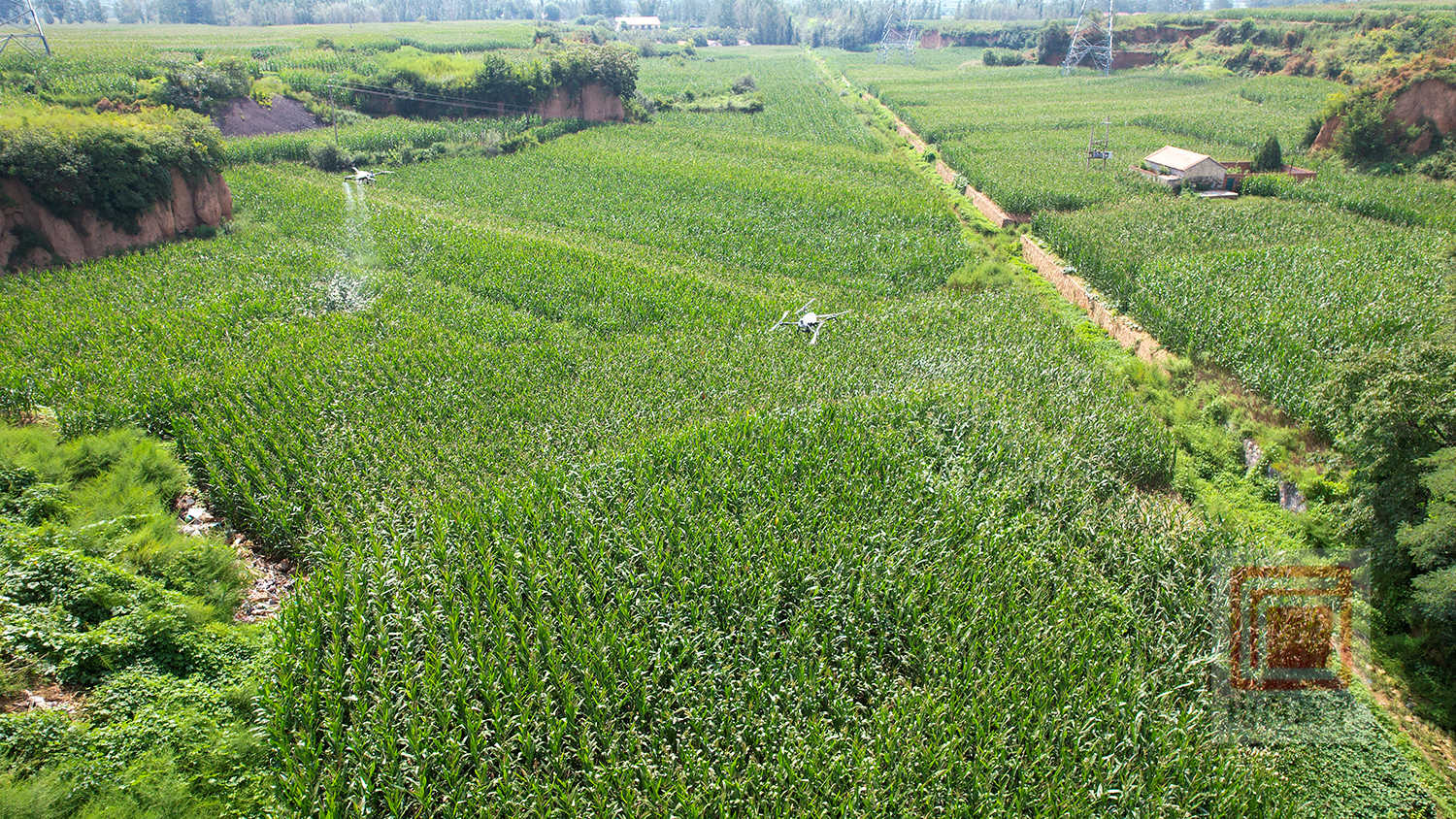 DJI_0566.jpg