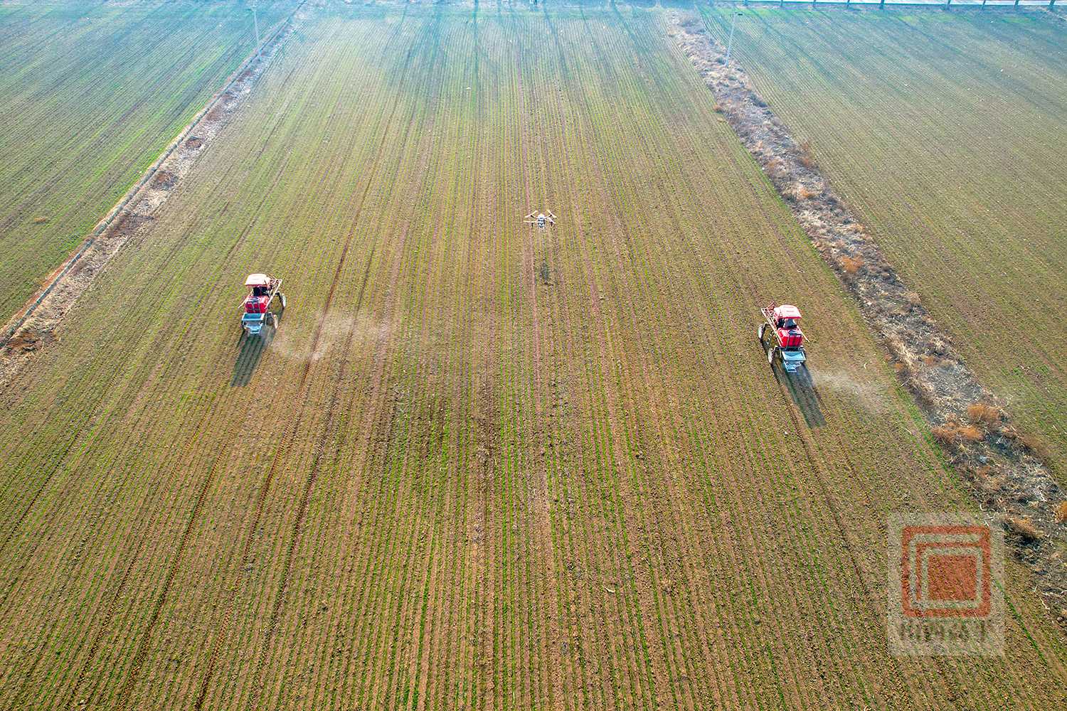 科技赋能小麦春管 全力护航夏粮丰收