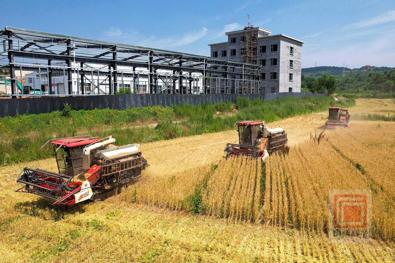 又是一年好“丰”景 我市4万亩小麦开镰收割