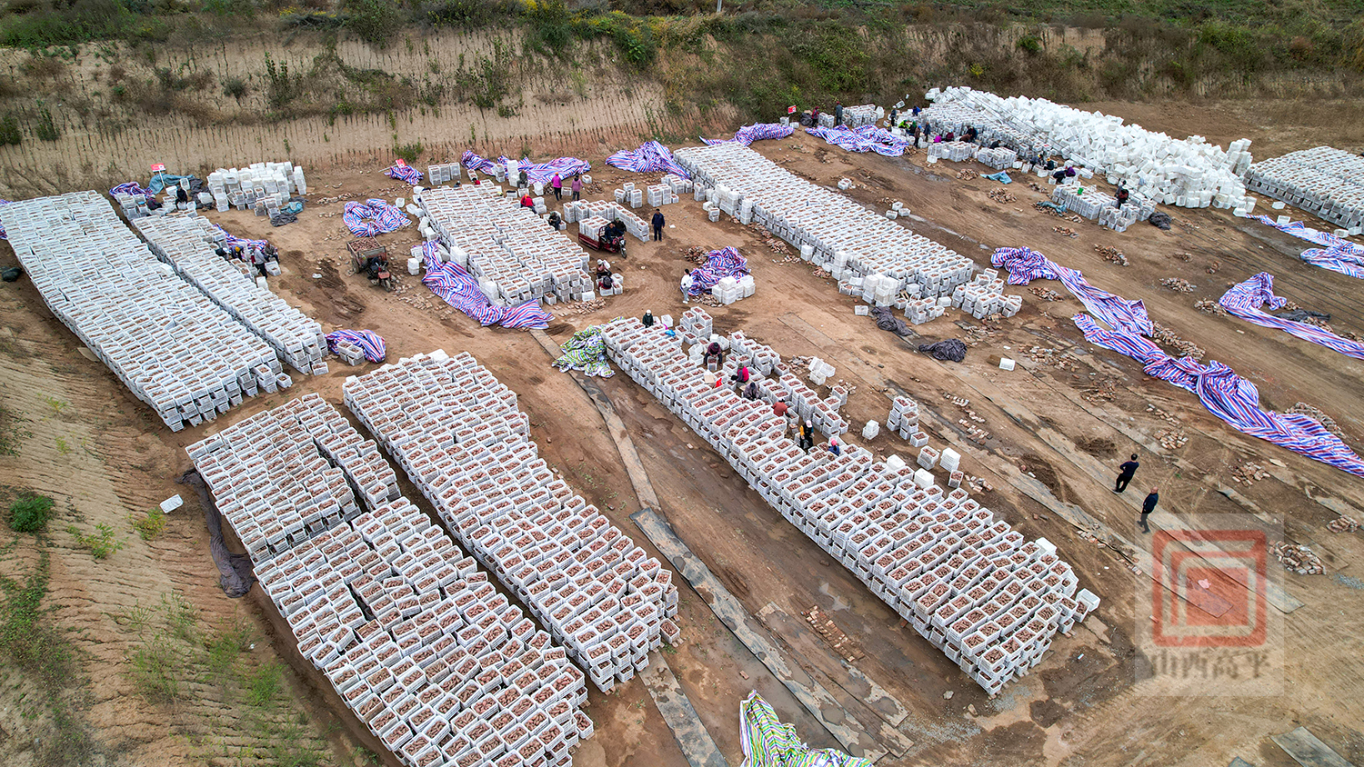 大型地瓜窖建设图图片