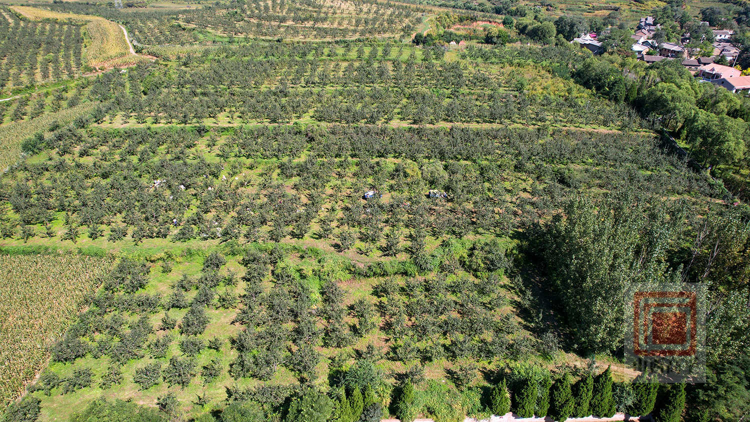 DJI_0104.jpg