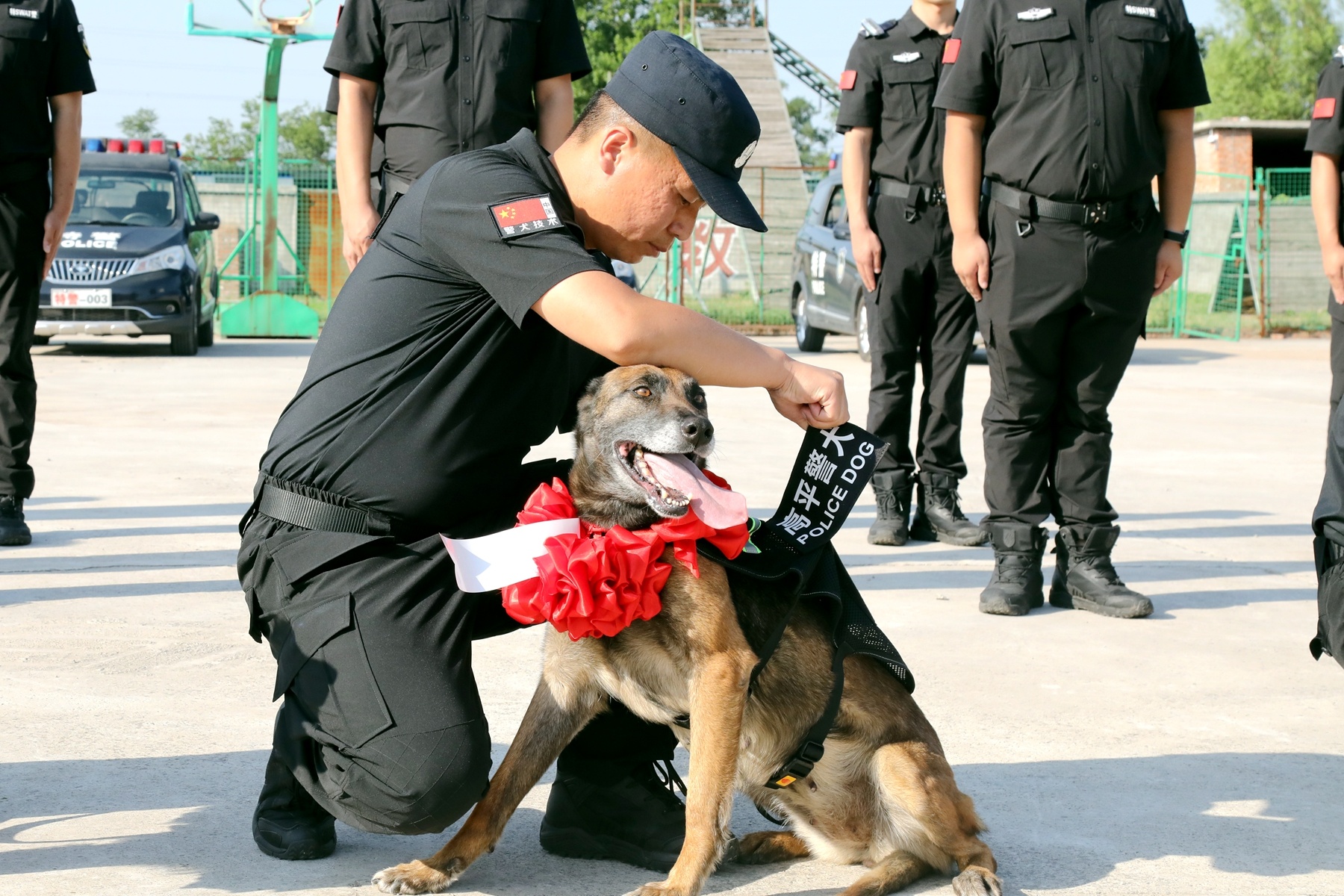 高平市公安12头警犬光荣退役