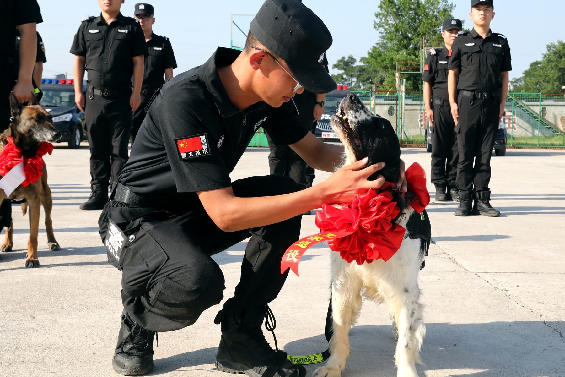 高平市公安12头警犬光荣退役