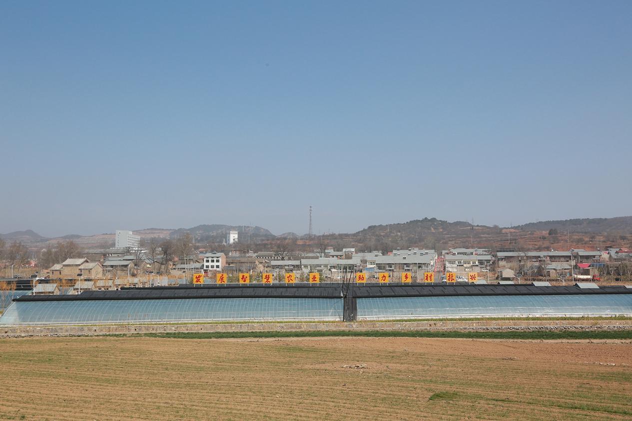 高平市釜山村智慧园区春意浓