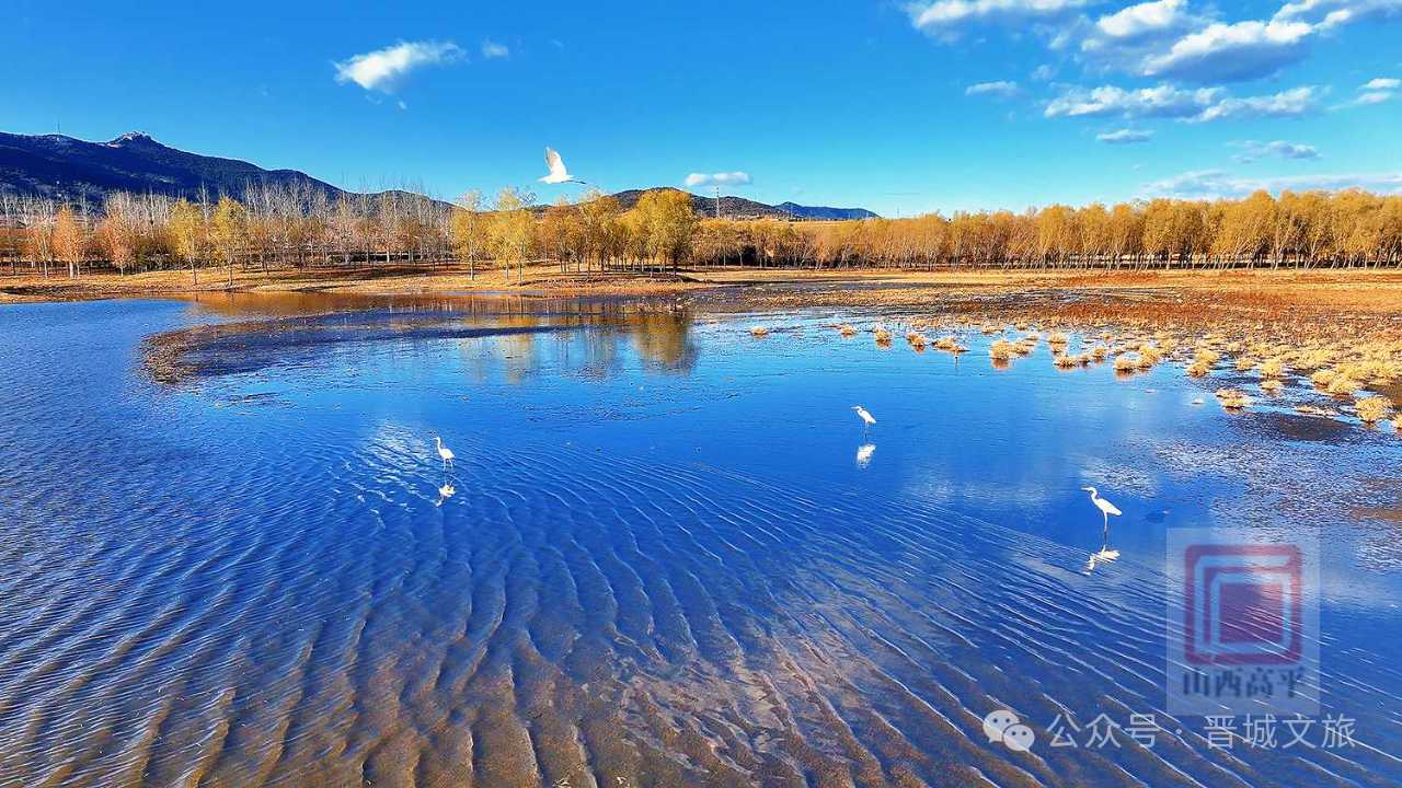 美爆了！就去高平“洱海”过春天！