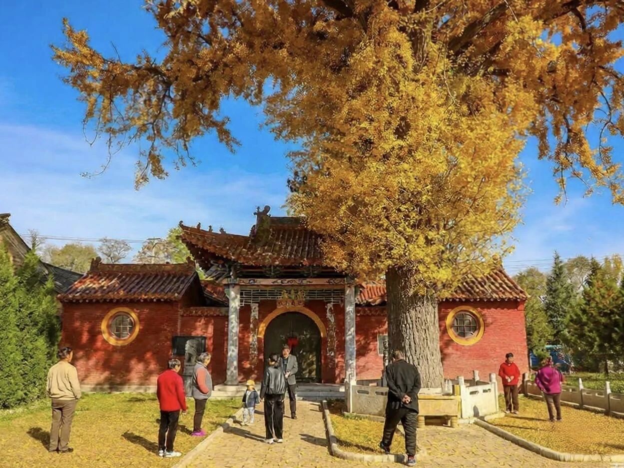 微信图片_2026-10-26_150122_712.jpg